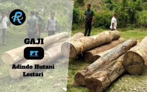 Berapa Gaji PT Adindo Hutani Lestari Terbaru