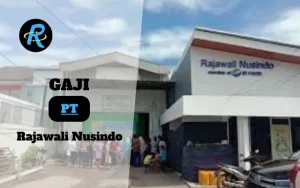 Berapa Gaji PT Rajawali Nusindo Semua Jabatan Terbaru