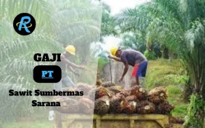 Berapa Gaji PT Sawit Sumbermas Sarana Semua Jabatan Terbaru