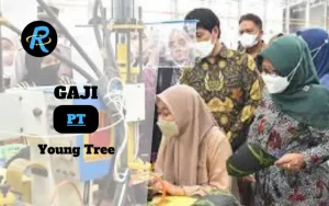 Berapa Gaji PT Young Tree Terbaru