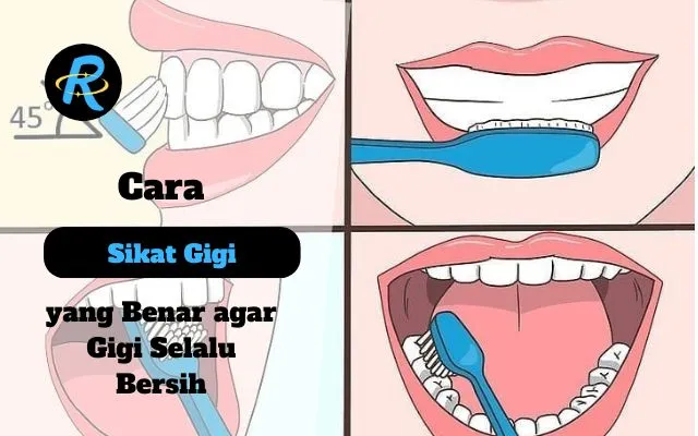 Cara Sikat Gigi yang Benar agar Gigi Selalu Bersih dan Sehat