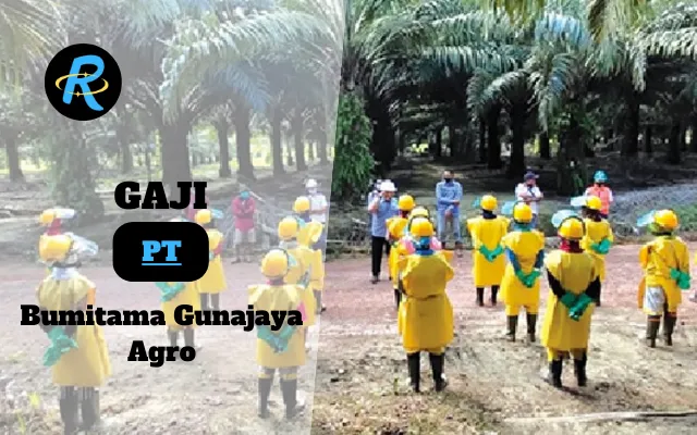 Berapa Gaji PT Bumitama Gunajaya Agro Semua Jabatan Terbaru