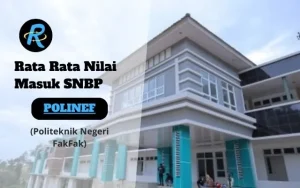 Rata Rata Nilai Masuk SNBP POLINEF Terbaru