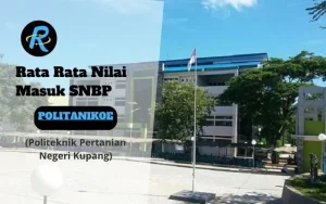 Rata Rata Nilai Masuk SNBP POLITANIKOE Terbaru