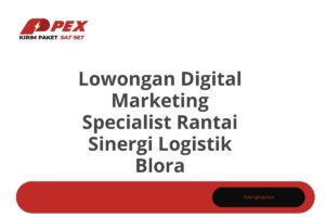 Lowongan Digital Marketing Specialist Rantai Sinergi Logistik Blora Tahun 2025