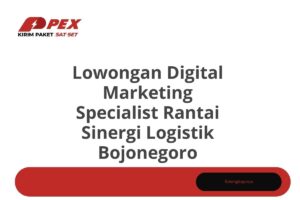 Lowongan Digital Marketing Specialist Rantai Sinergi Logistik Bojonegoro Tahun 2025 (Lamar Sekarang)