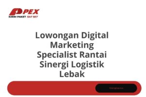 Lowongan Digital Marketing Specialist Rantai Sinergi Logistik Lebak Tahun 2025 (Lamar Sekarang)