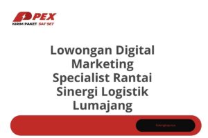Lowongan Digital Marketing Specialist Rantai Sinergi Logistik Lumajang Tahun 2025