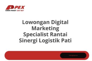 Lowongan Digital Marketing Specialist Rantai Sinergi Logistik Pati Tahun 2025 (Lamar Sekarang)