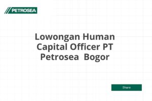 Lowongan Human Capital Officer PT Petrosea  Bogor Tahun 2025 (Apply Now)