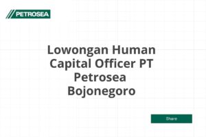Lowongan Human Capital Officer PT Petrosea  Bojonegoro Tahun 2025 (Resmi)