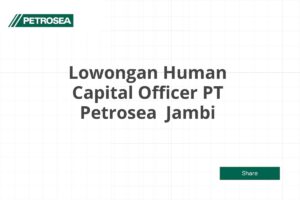 Lowongan Human Capital Officer PT Petrosea  Jambi Tahun 2025 (Lamar Sekarang)