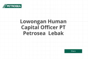 Lowongan Human Capital Officer PT Petrosea  Lebak Tahun 2025 (Apply Now)