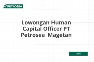 Lowongan Human Capital Officer PT Petrosea  Magetan Tahun 2025 (Apply Now)
