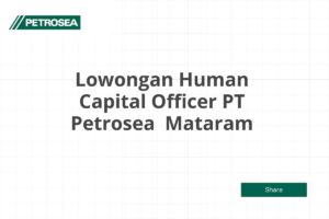 Lowongan Human Capital Officer PT Petrosea  Mataram Tahun 2025 (Lamar Sekarang)
