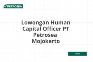 Lowongan Human Capital Officer PT Petrosea  Mojokerto Tahun 2025