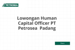 Lowongan Human Capital Officer PT Petrosea  Padang Tahun 2025 (Apply Now)