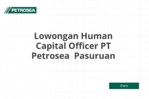 Lowongan Human Capital Officer PT Petrosea  Pasuruan Tahun 2025 (Resmi)