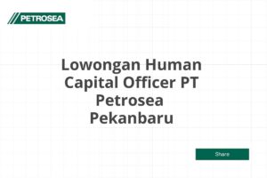 Lowongan Human Capital Officer PT Petrosea  Pekanbaru Tahun 2025 (Apply Now)