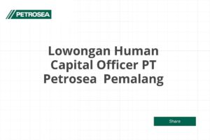 Lowongan Human Capital Officer PT Petrosea  Pemalang Tahun 2025