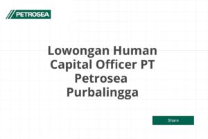 Lowongan Human Capital Officer PT Petrosea  Purbalingga Tahun 2025 (Apply Now)