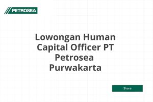 Lowongan Human Capital Officer PT Petrosea  Purwakarta Tahun 2025 (Lamar Sekarang)