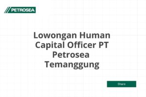 Lowongan Human Capital Officer PT Petrosea  Temanggung Tahun 2025 (Lamar Sekarang)