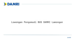 Lowongan Pengemudi BUS DAMRI Lamongan Tahun 2025 (Lamar Sekarang)