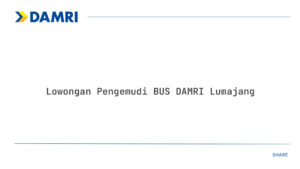 Lowongan Pengemudi BUS DAMRI Lumajang Tahun 2025 (Resmi)