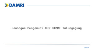 Lowongan Pengemudi BUS DAMRI Tulungagung Tahun 2025 (Apply Now)